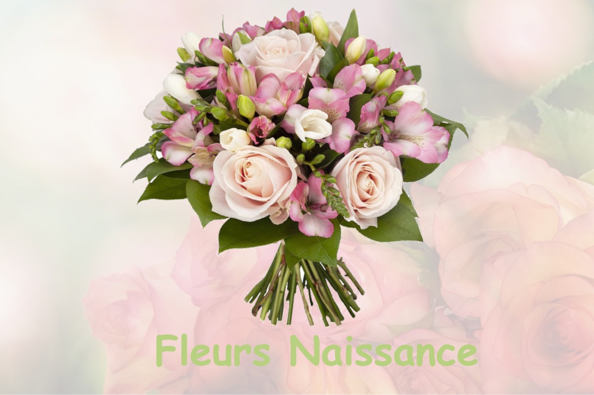 fleurs naissance LA-SALVETAT-SUR-AGOUT